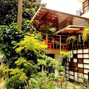 https://casa-kiwi-hostel.colombiamedellinhotels.com